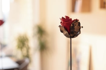 bed and breakfast le giale