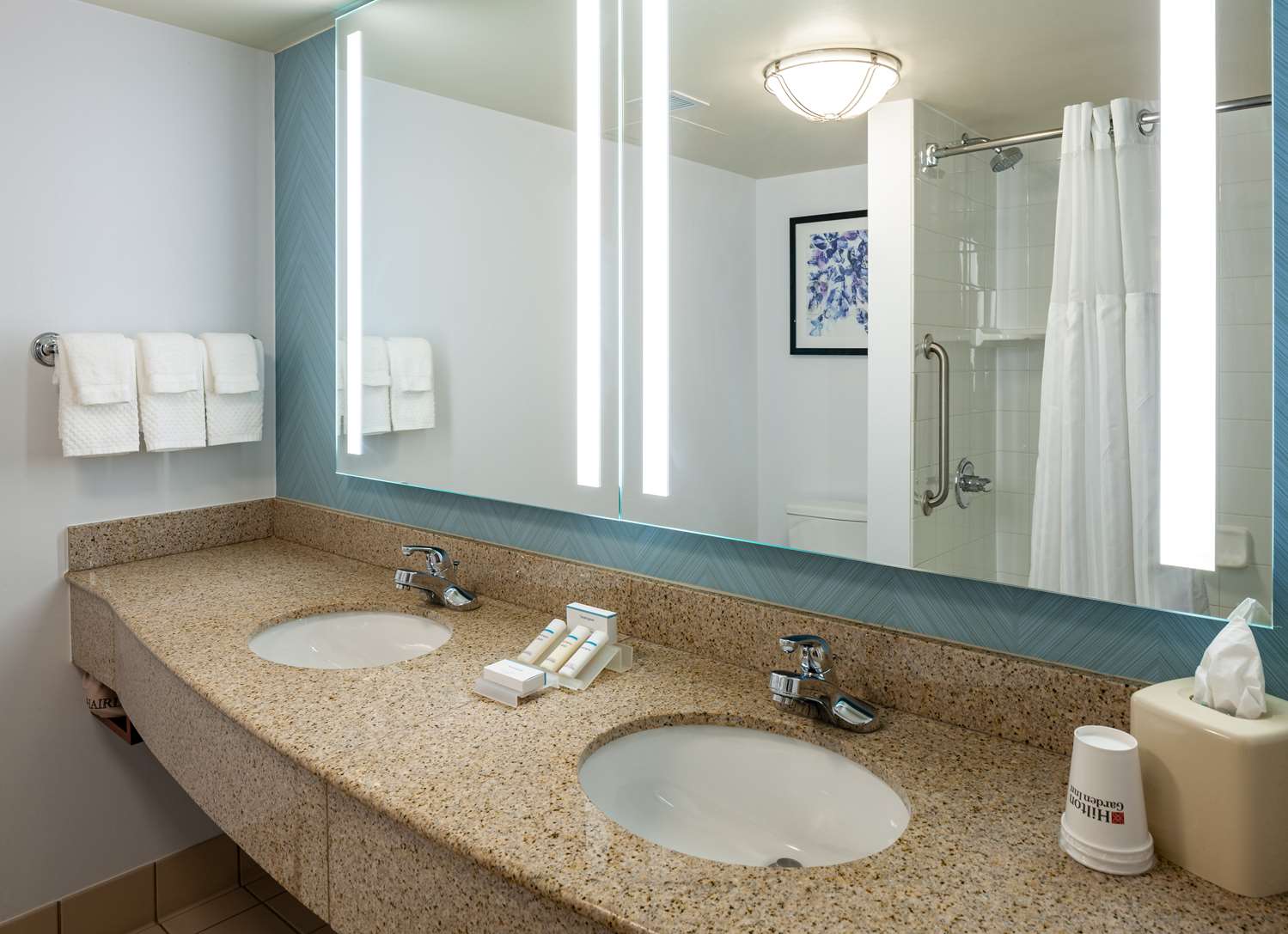 hilton garden inn chicago ohare airport