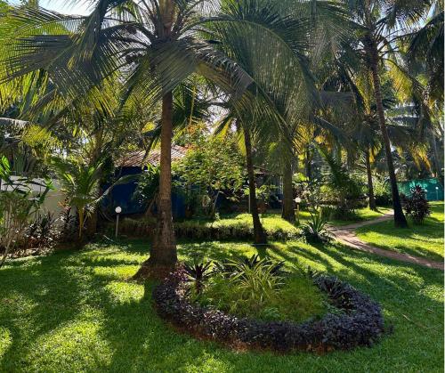 jungle hut annabelles beach apartments at bernard simao calangute