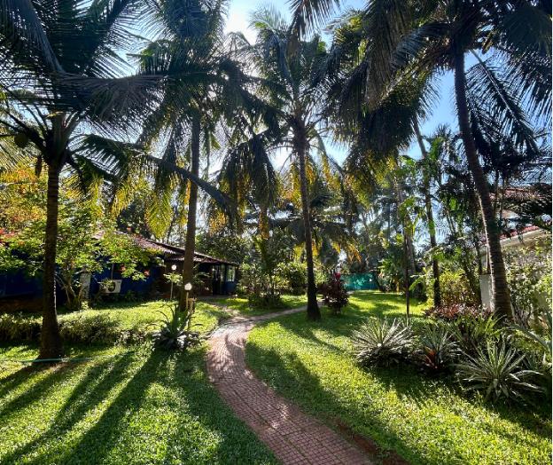 jungle hut annabelles beach apartments at bernard simao calangute
