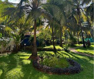 jungle hut annabelles beach apartments at bernard simao calangute