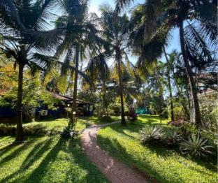 jungle hut annabelles beach apartments at bernard simao calangute