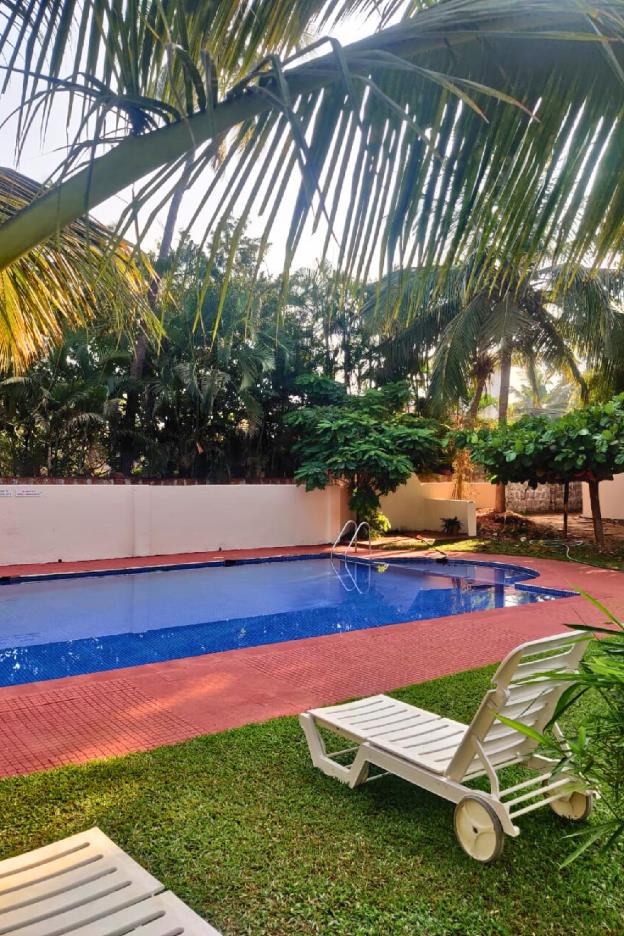 jungle hut annabelles beach apartments at bernard simao calangute