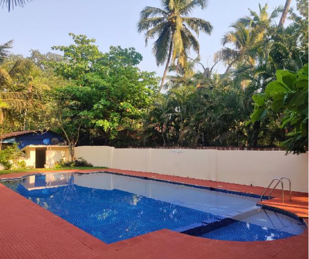 jungle hut annabelles beach apartments at bernard simao calangute