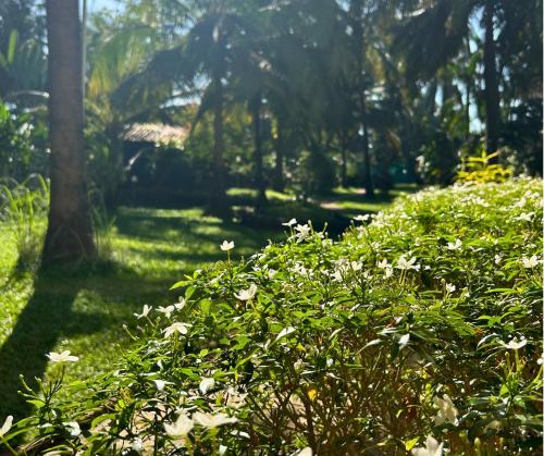 jungle hut annabelles beach apartments at bernard simao calangute