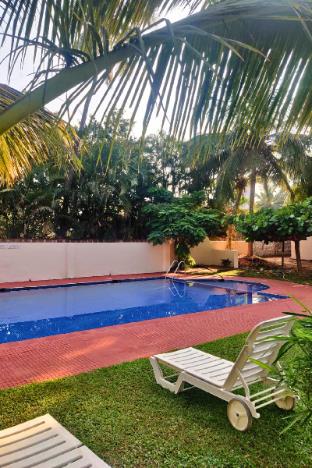 jungle hut annabelles beach apartments at bernard simao calangute