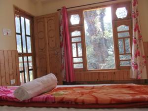 mozo innandcafe jibhi