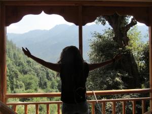 mozo innandcafe jibhi