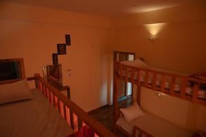 mozo innandcafe jibhi