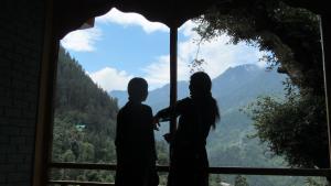 mozo innandcafe jibhi