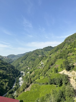 pulera suit bungalow