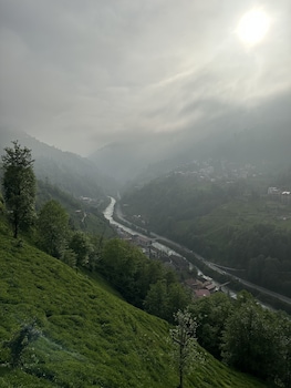 pulera suit bungalow