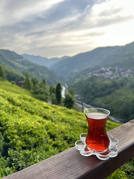 pulera suit bungalow