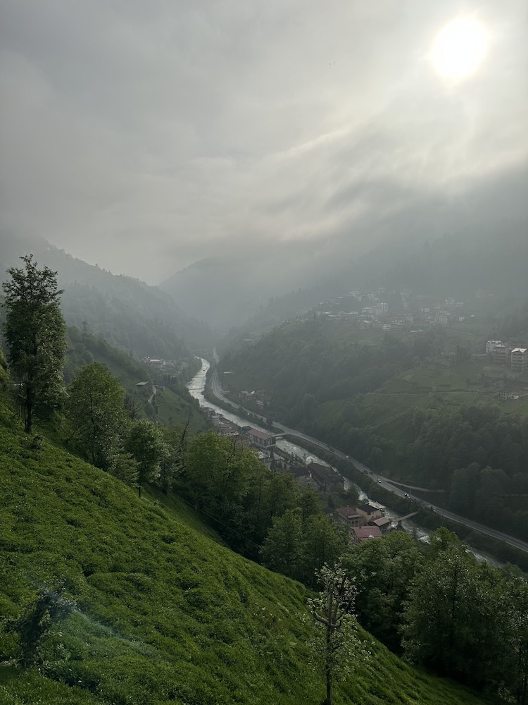 pulera suit bungalow