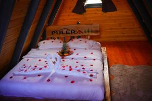 pulera suit bungalow