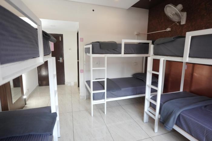 hotel palmyra grand inn