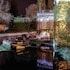 le moulin de labbaye