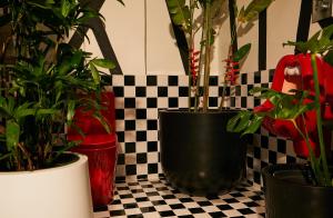 chi hotel bangkok sha extra plus