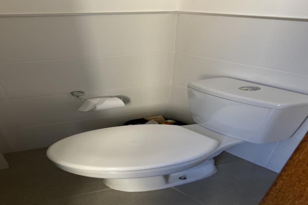 samba belo horizonte vintage