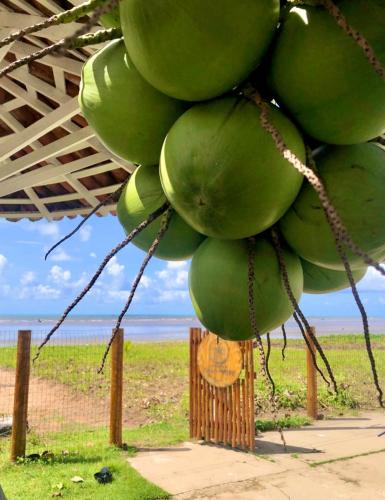 condominio praias de maragogi