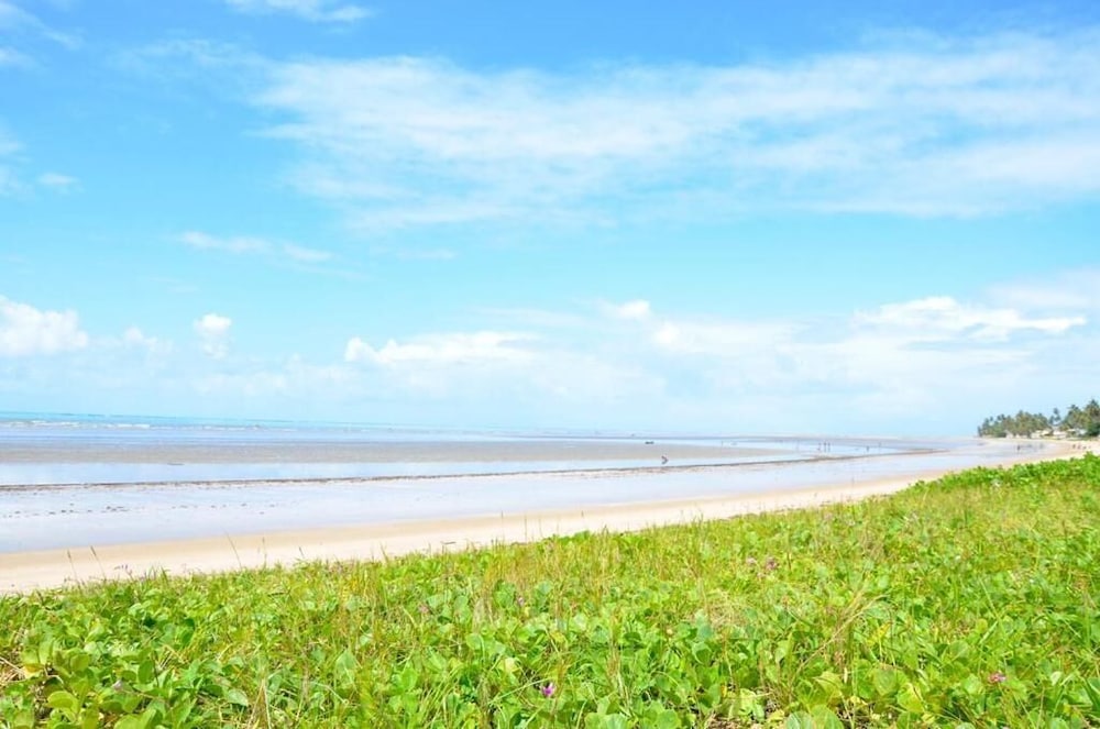 maragogi
