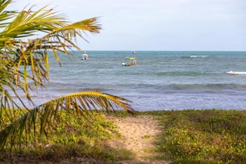 maragogi