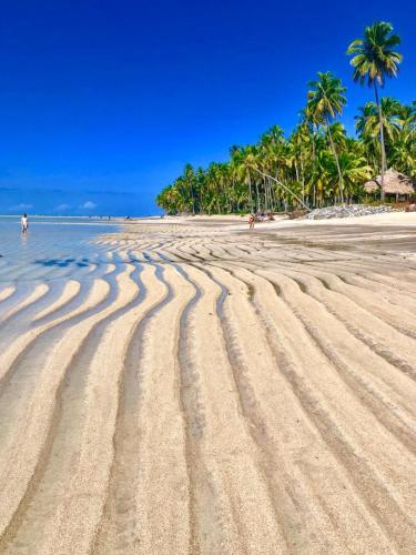 condominio praias de maragogi