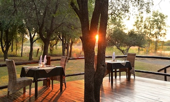 black rhino game lodge