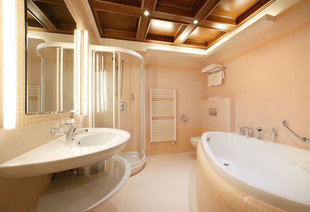 hotel zlata hvezda trebon