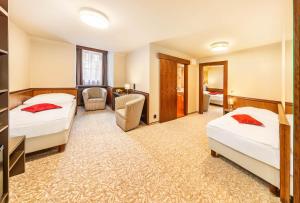 hotel zlata hvezda trebon