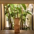 lantana resort hotel and apartments