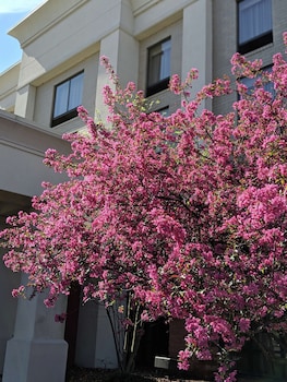 hampton inn and suites cincinnati union center