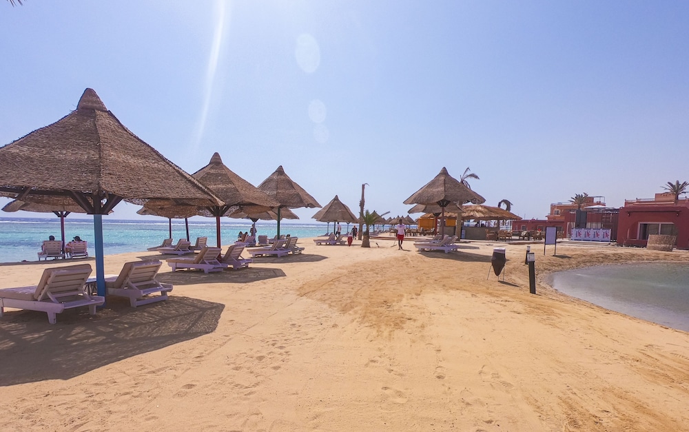 mg alexander the great