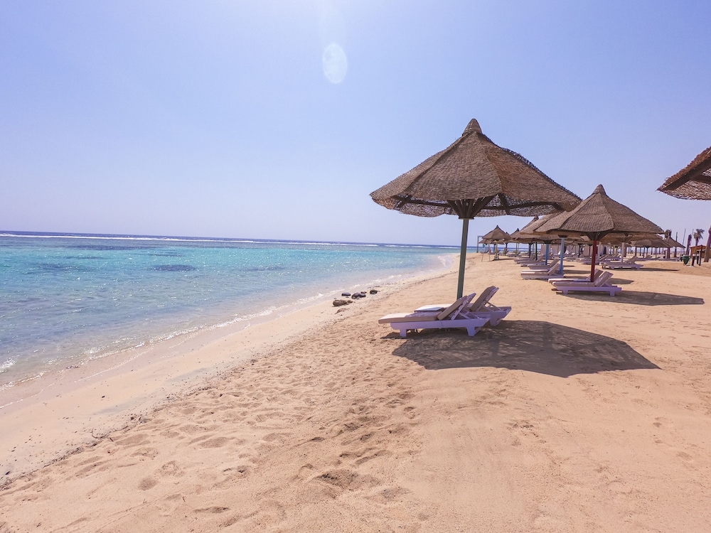 mg alexander the great