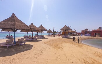 mg alexander the great