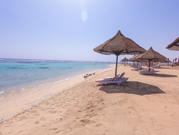 mg alexander the great