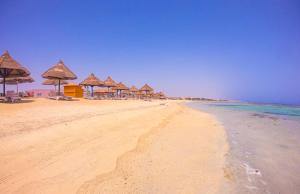 mg alexander the great