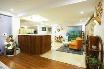 lime tree the pulkit