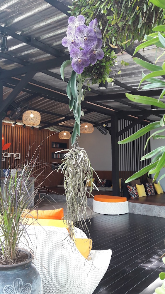 the fong krabi resort