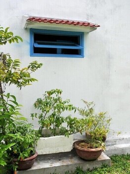 local beach homestay