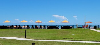 bahia mar 426