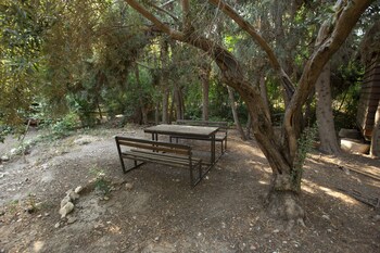 sharhabil bin hasnah ecopark