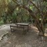 sharhabil bin hasnah ecopark