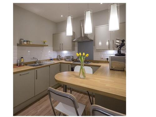the lane apartment