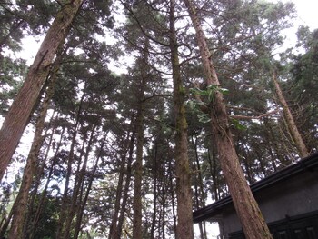 ataco luxury cabin