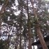 ataco luxury cabin