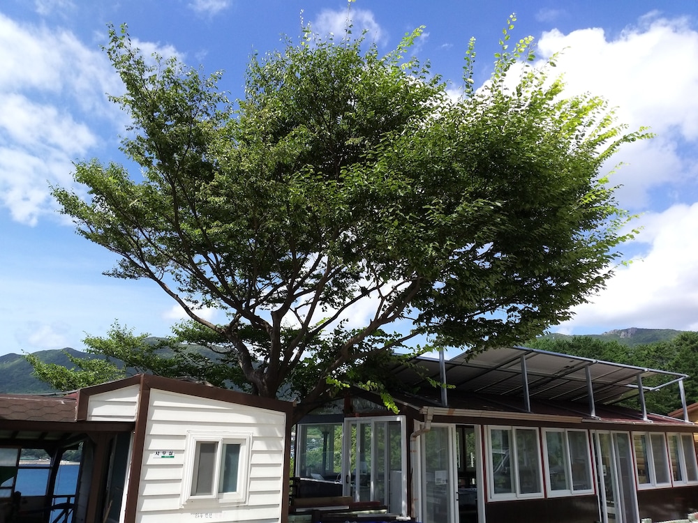 a day in geoje pension