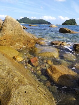 a day in geoje pension
