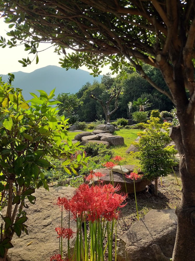 a day in geoje pension