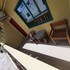 caye caulker
